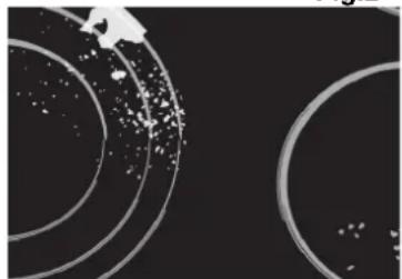Abstract circular patterns with scattered white dots on a dark background, no text or symbols present