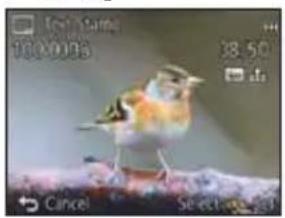 Close-up photo of a small bird perched on a branch, with no visible text or symbols in the main image area.