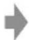 PANASONIC Lumix DMC-ZS25 - Focus display - 3