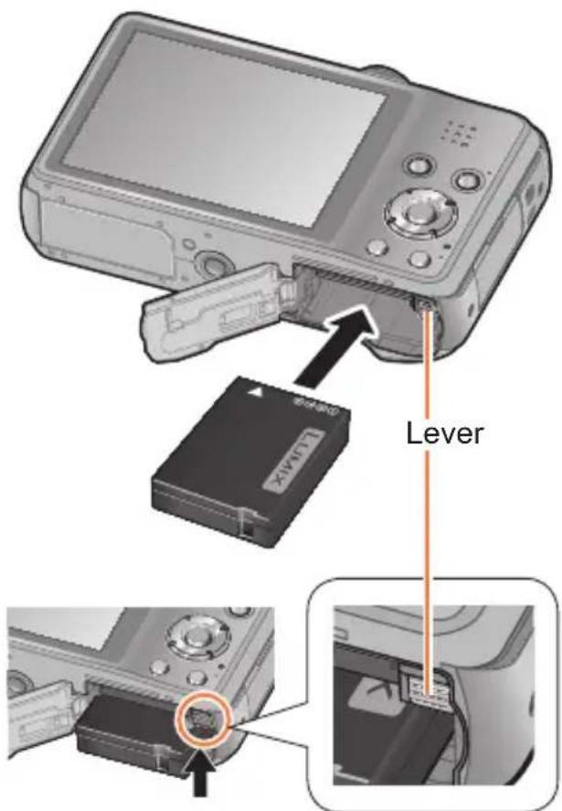 LIVER Lever