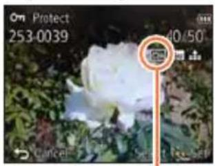 On Protect 253-0039 40/50 OK Cancel