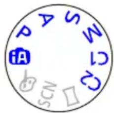P A S W C D SCN