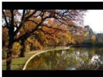 Autumn park scene with trees reflected in a calm lake, no visible text or symbols