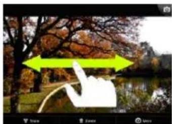 Photo of a hand pointing at a tree with autumn leaves, set in a park setting (no text or symbols visible)