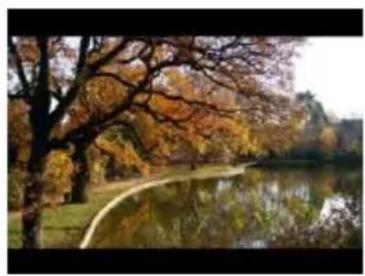 Autumn park scene with colorful trees reflected in a calm lake, no visible text or symbols