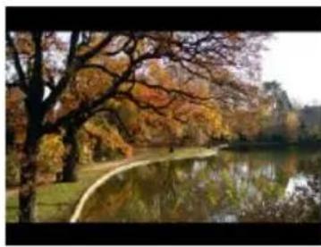 Autumn park scene with trees reflected in a calm lake, no visible text or symbols