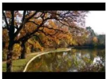 Autumn park scene with a calm lake, golden-leafed trees, and a winding path (no text or symbols visible)
