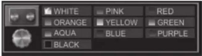 WHITE ORANGE AQUA BLACK PINK YELLOW BLUE RED GREEN PURPLE