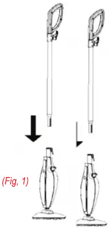 (Fig, 1)