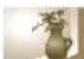 SAMSUNG PL171 - Photographier du texte, des insectes ou des fleurs - 1