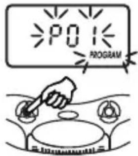 PO PROGRAM