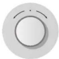 Simple circular diagram with a central circle and two curved lines inside, no text or symbols present.
