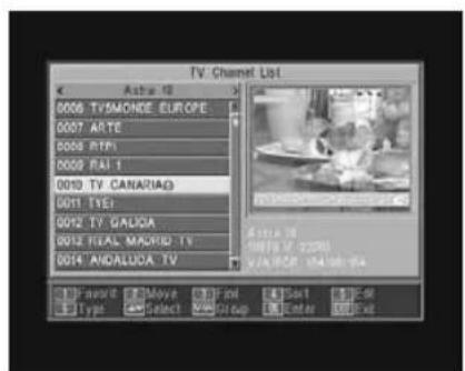 TV Channel List 0006 TV/MONDE EUROPE 0007 ARTE 0008 RTM 0009 RAI 1 0010 TV CANARIAG 0011 TIEJ 0012 TV GALUGA 0013 FEAAL MADRID TV 0014 ANDALUDA TV Video: 5xMove 1xFoi 2xSort 3xEo Type: Select 1xGo up 2xEnter 3xExt