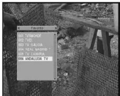 Favors 001 TVSMODE 002 TVES 003 TV GALCIA 004 REAL MADRID T 005 TV CANARIA 006 ANDALUCIA TV