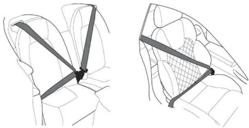 Aston Martin V12 Vanquish (2003) - Seat Belts - 1
