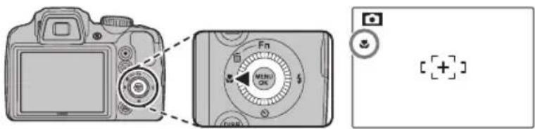 FUJIFILM FinePix S9200 - 微距拍摄与超微距拍摄模式(特写) - 1