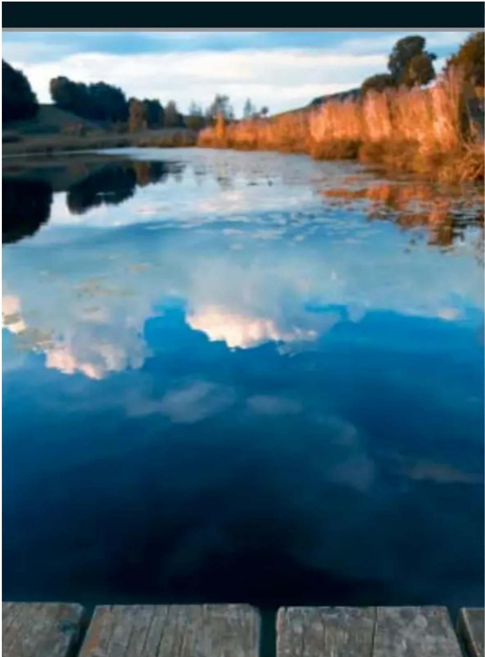 Reflecta x9-Scan - MAGIC TOUCH 3 means: - 2