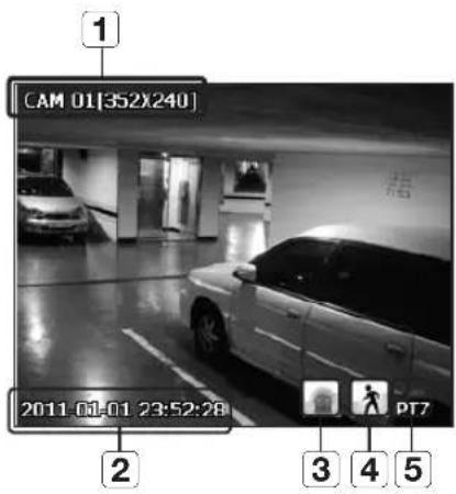 CAM 01[352X240] 2011-01-01 23:52:28 PT7 1 2 3 4 5