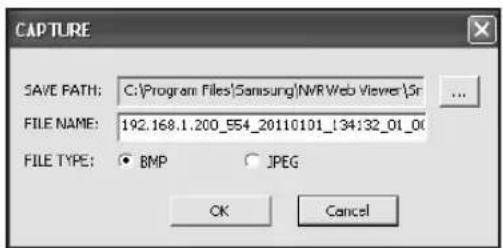 CAPTURE SAVE PATH: C:\Program Files\Samsung\NVR Web Viewer\Sr FILE NAME: 192.168.1.200_554_20110101_134:32_01_00 FILE TYPE: BMP JPEG OK Cancel