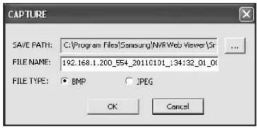 CAPTURE SAVE PATH: C:\Program Files\Samsung\NVR Web Viewer\Sr FILE NAME: 192.168.1.200_554_20110101_134:32_01_00 FILE TYPE: BMP JPEG OK Cancel
