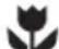 WESTINGHOUSE WMS281SB - TIPS & INFORMATION - 1