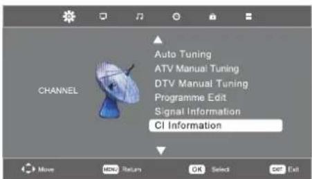 CHANNEL Auto Tuning ATV Manual Tuning DTV Manual Tuning Programme Edit Signal Information CI Information