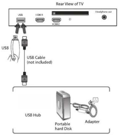 Rear View of TV USB HDMI1 CI HDMI2 Headphone out USB USB Cable (not included) USB Hub Portable hard Disk Adapter