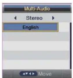 Multi-Audio Stereo English Move
