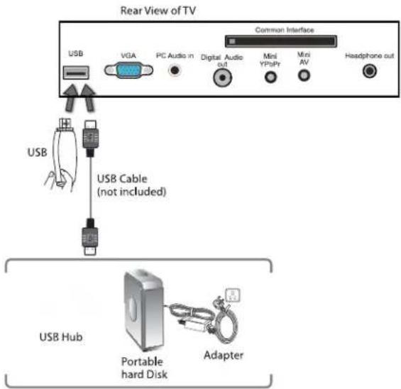 Rear View of TV USB VGA PC Audio in Digital Audio out Common Interface Mini YPsPr Mini AV Headphone out USB Cable (not included) USB Hub Portable hard Disk Adapter