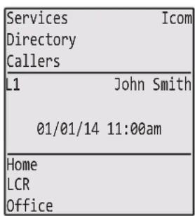 Services Icom Directory Callers L1 John Smith 01/01/14 11:00am Home LCR Office
