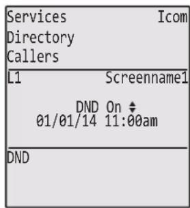 Services Icom Directory Callers L1 Screenname1 DND On 01/01/14 11:00am DND