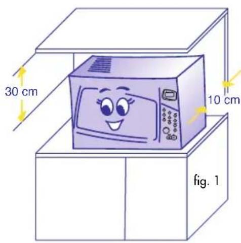 30 cm 10 cm fig. 1