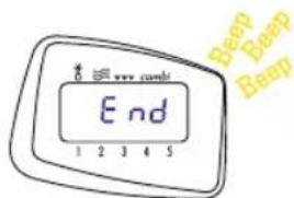 End 1 2 3 4 5