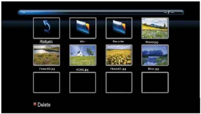Return Win Recorder Flower.jpg Flower0.jpg HOME.jpg Flower01.jpg Flower.jpg Delete