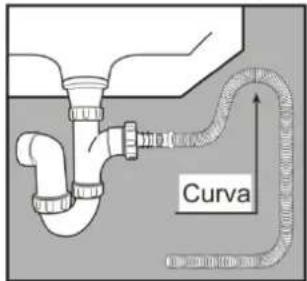 Curva
