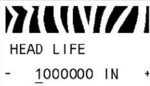 ZEBRA 110Xi4 - Standard Control Panel Parameters - 17