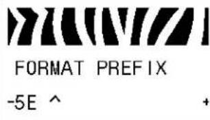 ZEBRA 110Xi4 - Standard Control Panel Parameters - 47