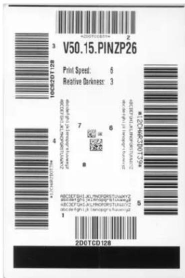 V50.15.PINZP26 Print Speed: 6 Relative Darkness: 3 10Cr2DT128 7 6 12Cr43D73* 8 5 1 2DDTCD128