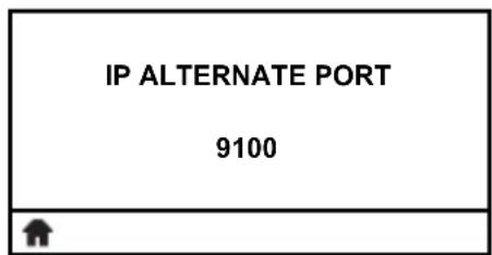 IP ALTERNATE PORT 9100