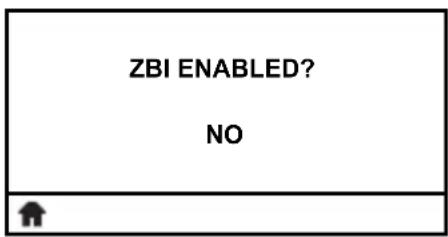 ZBI ENABLED? NO