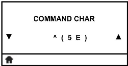 COMMAND CHAR ▼ ^ ( 5 E ) ▲ #