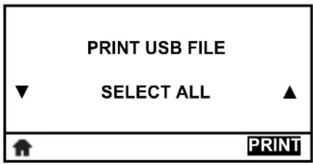 PRINT USB FILE ▼ SELECT ALL ▲ PRINT