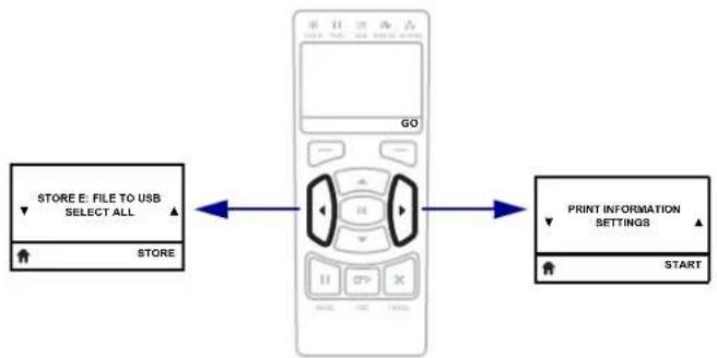 ZEBRA ZT420 - Network Menu Shortcut - 2