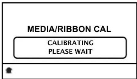 MEDIA/RIBBON CAL CALIBRATING PLEASE WAIT