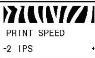 ZEBRA 140Xi4 - Standard Control Panel Parameters - 3