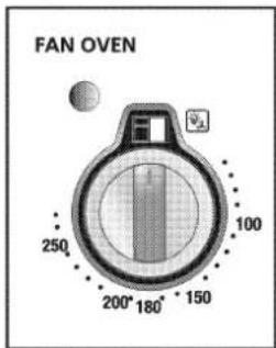 FAN OVEN 250 100 200° 180° 150