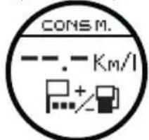 CONSM. --. - Km/l