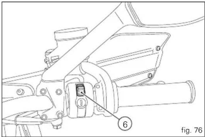 fig. 76