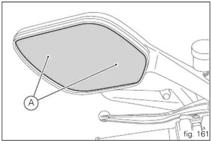 A fig. 161