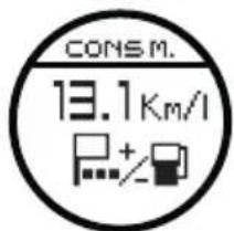 CONS M. 13.1 Km/l